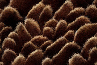 捷豹皮毛模式无缝的真正的多毛的纹理