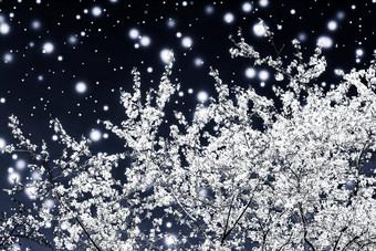 圣诞节年黑色的花背景假期卡设计花树雪闪闪发光的冬天季节出售促销活动背景奢侈品美品牌