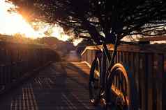 山自行车木桥日落
