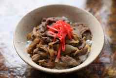 gyudon日本牛肉大米碗关闭日本当地的食物