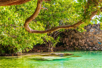 小美丽的天然井洞穴河绿松石蓝色的水墨西哥