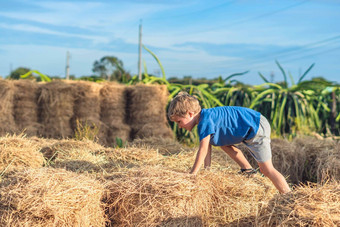 男孩蓝色的t恤微笑玩爬干草堆包干有清晰的天空阳光明媚的一天户外孩子孩子们夏天休闲活动概念快乐童年农村空气关闭自然