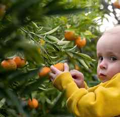 高加索人婴儿女孩持有腾格林水果树花园