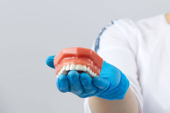 牙齿矫正医师显示系统调整器人工大白鲨