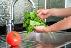 女人洗新鲜的菠菜水槽手绿色植物特写镜头