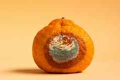 概念停止食物浪费一天发霉的橙色藤条发霉的水果模具霉覆盖食物停止浪费食物