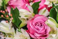 粉红色的玫瑰花安排装饰玫瑰观赏植物