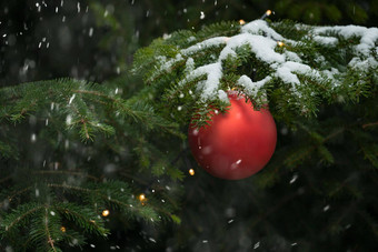 快乐圣诞节快乐假期问候卡框架横幅一年诺埃尔红色的圣诞节球礼物绿色松树分支机构背景前视图冬天圣诞节假期主题