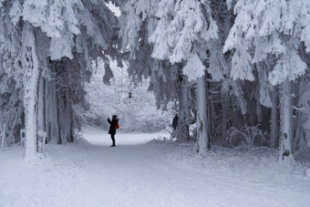 蒂内格女孩滑雪套房父亲小道草坪上覆盖雪不错的树站倒雪花冷淡的冬天早....梦幻冷杉被施了魔法森林