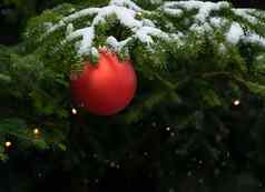 快乐圣诞节快乐假期问候卡框架横幅一年诺埃尔红色的圣诞节球礼物绿色松树分支机构背景前视图冬天圣诞节假期主题