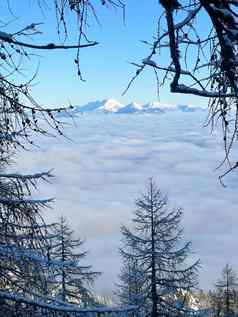 冬天山景观山峰树雪覆盖移动照片