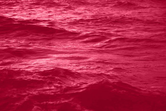 还活着品红色的健美的海水纹理池水太阳反射时尚的颜色一年