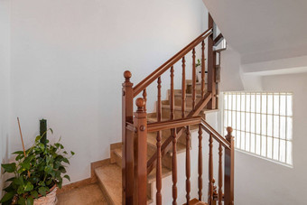 宽敞的楼梯大理石步骤木栏杆领先的上地板上背景白色墙明亮的日光窗口照亮楼梯盆栽植物地板上