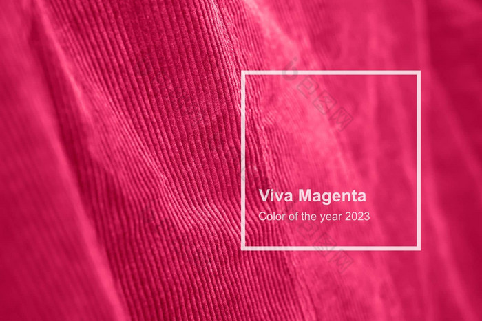 还活着品红色的天鹅绒纹理健美的一年单色颜
