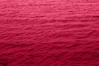 还活着品红色的健美的海水纹理池水太阳反射时尚的颜色一年