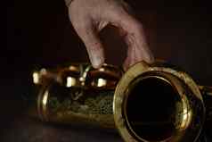 手音乐家萨克斯风古老的音乐的木仪器受欢迎的经典黄铜游行爵士乐人音乐爱孩子们成年人业余爱好者专业人士