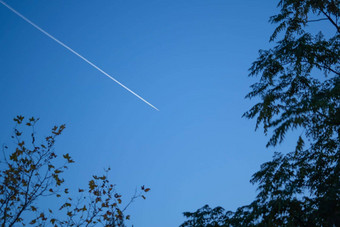 摘要飞机<strong>航迹</strong>云清晰的蓝色的天空叶子树