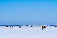 冰钓鱼冬天钓鱼冰海爱沙尼亚