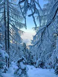 冬天山景观山峰树雪覆盖移动照片