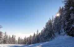 冬天山景观山峰树雪覆盖