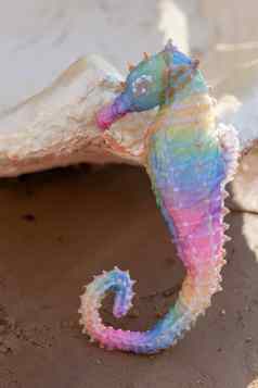 装饰彩虹海马站海滩阳光明媚的一天大海贝