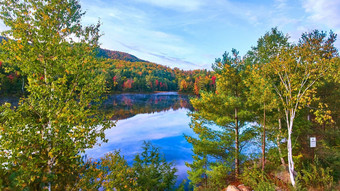 树升高视图蓝色的多雾的早....湖包围秋天山