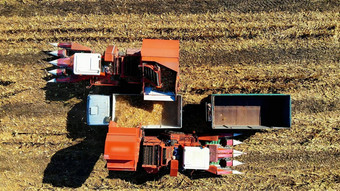 空中前视图收获玉米结合收割机机器倒新鲜的玉米卡车预告片收获空中农业