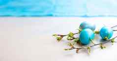 蓝色的复活节鸡蛋春天树枝绿色叶子白色表格
