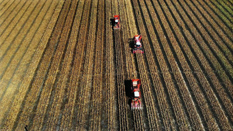 空中前视图大红色的结合收割机机器收获玉米场早期秋天拖拉机过滤新鲜的玉米叶子茎空中农业