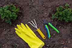 黄色的耙黄色的花园手套绿色修剪工具