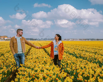 黄色的花场夫妇走黄色的花床上黄色的水仙花花春天