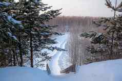 美丽的冬天景观日出日落雪幻灯片滑雪