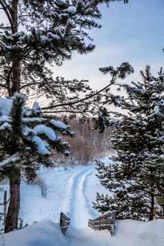 美丽的冬天景观日出日落雪幻灯片滑雪
