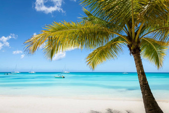 热带天堂沙子海滩加勒比saona岛<strong>高峰</strong>卡纳多米尼加