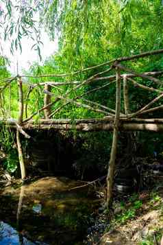 木桥小河树冠绿色树