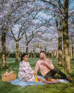 夫妇野餐公园春天阿姆斯特丹荷兰盛开的樱桃开花树
