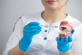 牙医显示模型人类下巴线牙套调整器比较