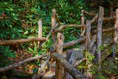 细节一边自然木栏杆木板路绿色植物
