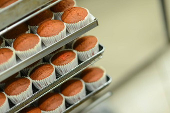 巴基德集团简朴的红色的天鹅绒纸杯蛋糕面包店电车