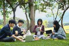 年轻的亚洲大学学生工作集团项目沟通坐着校园草坪上美丽的一天