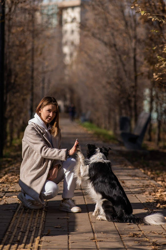 狗边境牧羊犬高老板走秋天公园