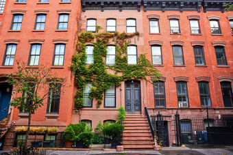 美丽的绿色葡萄树砖公寓建筑格林威治村纽约城市