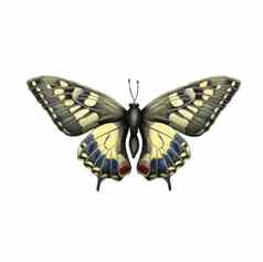 插图蝴蝶昆虫孤立的背景明亮的美丽的打印插图