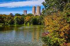 池塘森林内部中央公园纽约城市高耸的建筑