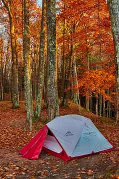 NSq红色的白色野营帐篷集森林晚些时候秋天橙色叶子周围