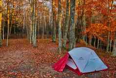 简单的营地红色的白色帐篷晚些时候秋天森林橙色叶子