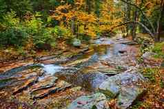 美丽的河峰秋天瀑布树挂黄色的秋天叶子