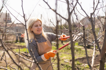 年轻的女人采取护理花园切割树分支