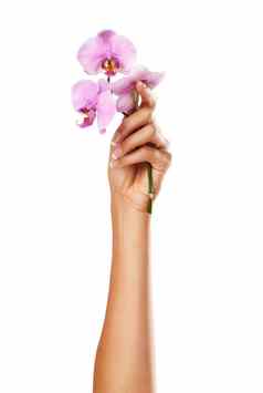 兰花花女人手修指甲指甲水疗中心美沙龙治疗白色背景女模型粉红色的花花背景美健康自然化妆品