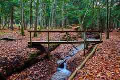 走木桥十字架小溪森林公园晚些时候秋天橙色叶子覆盖地面